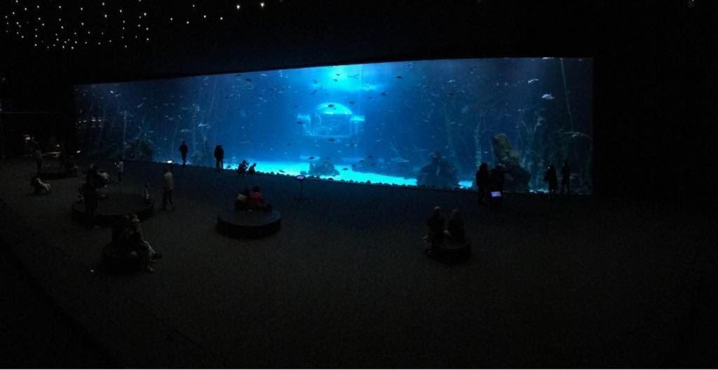 Las Canteras Aquarium 大加那利岛拉斯帕尔马斯 外观 照片